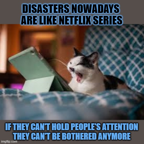 This #lolcat wonders why people can't be bothered anymore | DISASTERS NOWADAYS 
ARE LIKE NETFLIX SERIES; IF THEY CAN'T HOLD PEOPLE'S ATTENTION
THEY CAN'T BE BOTHERED ANYMORE | image tagged in disaster,conflict,war,lolcat,boredom,think about it | made w/ Imgflip meme maker