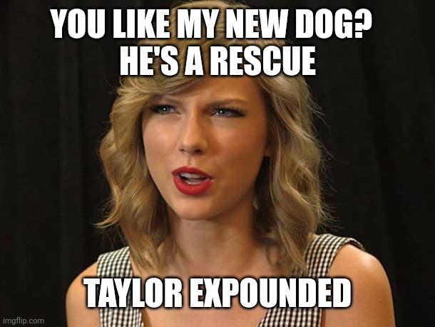 Taylor expounded | YOU LIKE MY NEW DOG?  
HE'S A RESCUE; TAYLOR EXPOUNDED | image tagged in taylor swiftie | made w/ Imgflip meme maker