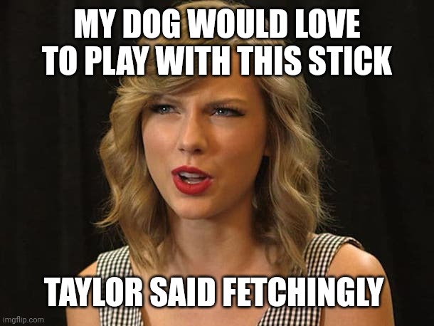 Taylor said fetchingly | MY DOG WOULD LOVE TO PLAY WITH THIS STICK; TAYLOR SAID FETCHINGLY | image tagged in taylor swiftie | made w/ Imgflip meme maker