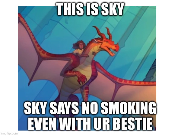 THIS IS SKY SKY SAYS NO SMOKING EVEN WITH UR BESTIE | made w/ Imgflip meme maker
