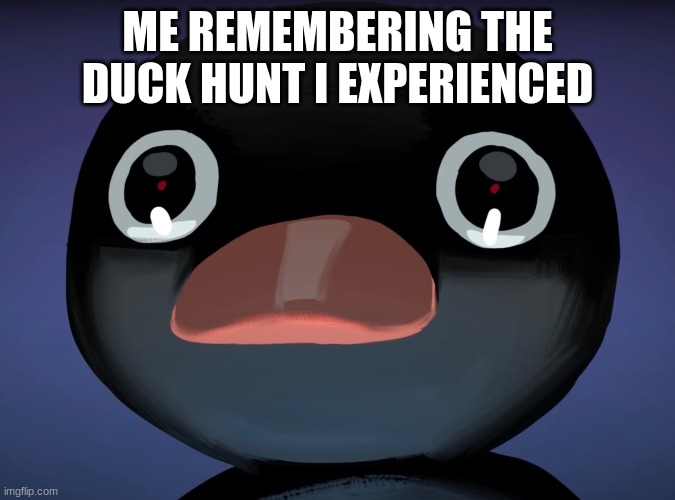 Pingu stare | ME REMEMBERING THE DUCK HUNT I EXPERIENCED | image tagged in pingu stare | made w/ Imgflip meme maker