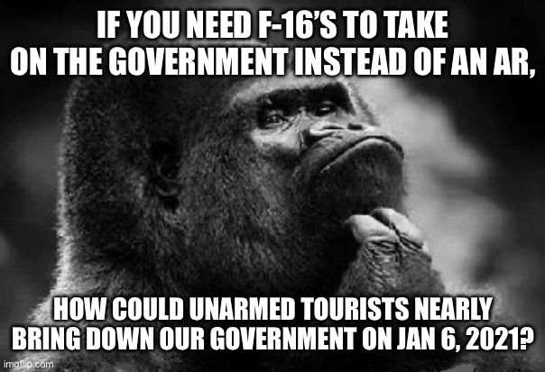 Can’t have it both ways | IF YOU NEED F-16’S TO TAKE ON THE GOVERNMENT INSTEAD OF AN AR, HOW COULD UNARMED TOURISTS NEARLY BRING DOWN OUR GOVERNMENT ON JAN 6, 2021? | image tagged in thinking monkey | made w/ Imgflip meme maker