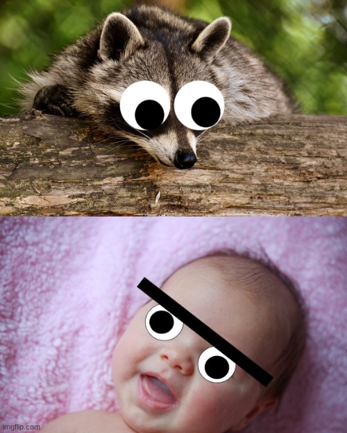 googly eyes | image tagged in funny | made w/ Imgflip meme maker