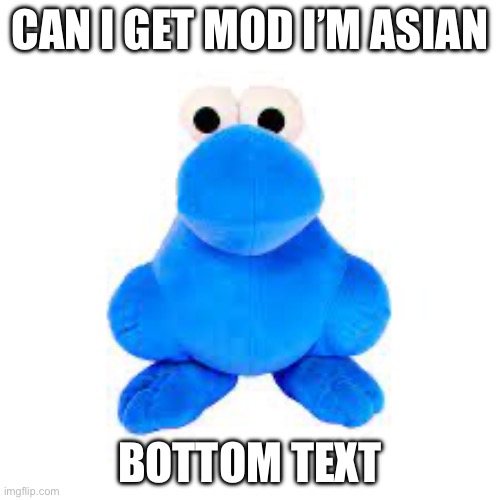 CAN I GET MOD I’M ASIAN; BOTTOM TEXT | made w/ Imgflip meme maker