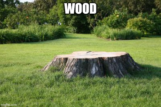 tree stump | WOOD | image tagged in tree stump | made w/ Imgflip meme maker