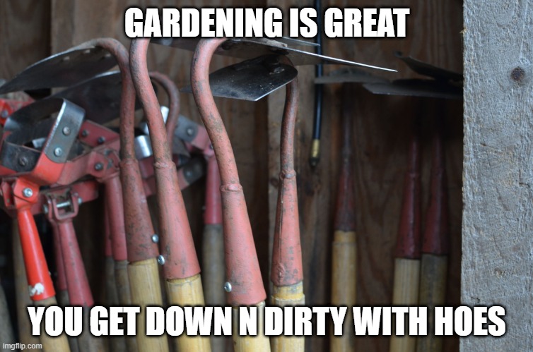Hoes | GARDENING IS GREAT; YOU GET DOWN N DIRTY WITH HOES | image tagged in hoes | made w/ Imgflip meme maker