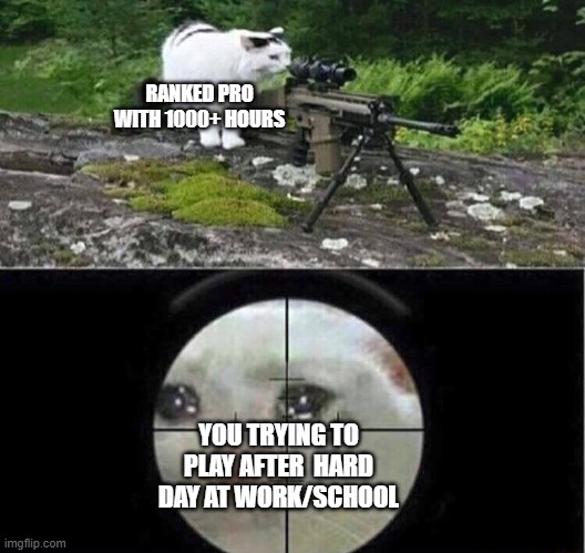 True? | RANKED PRO WITH 1000+ HOURS; YOU TRYING TO PLAY AFTER  HARD DAY AT WORK/SCHOOL | image tagged in sniper cat,gaming,memes,relatable memes | made w/ Imgflip meme maker