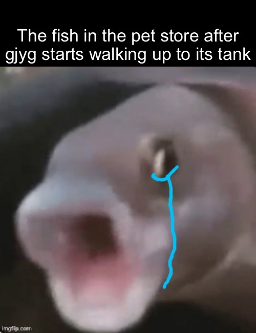 Crying poggers fish | The fish in the pet store after gjyg starts walking up to its tank | image tagged in crying poggers fish | made w/ Imgflip meme maker