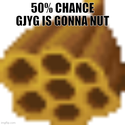 Beehive | 50% CHANCE GJYG IS GONNA NUT | image tagged in beehive | made w/ Imgflip meme maker