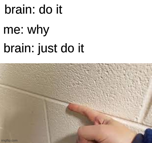 me irl: | brain: do it; me: why; brain: just do it | image tagged in blank white template,memes | made w/ Imgflip meme maker