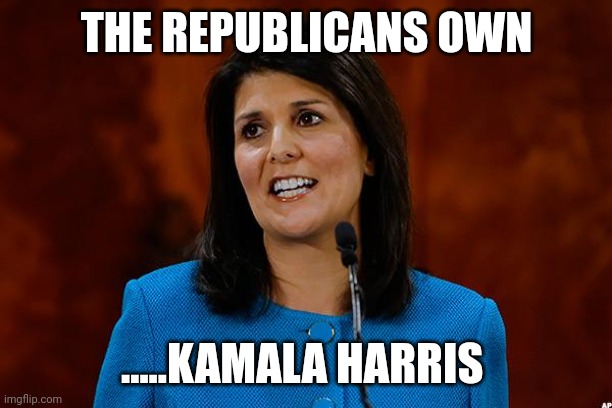 Rino | THE REPUBLICANS OWN; .....KAMALA HARRIS | image tagged in nikki haley | made w/ Imgflip meme maker