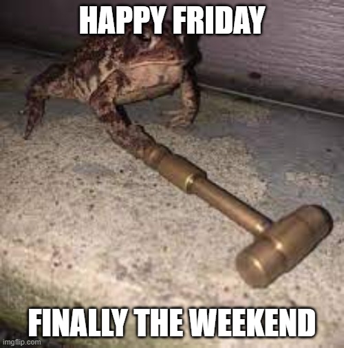 frog mallet | HAPPY FRIDAY; FINALLY THE WEEKEND | image tagged in frog mallet | made w/ Imgflip meme maker