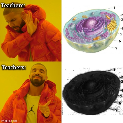 everyone wrote the same test | Teachers:; Teachers: | image tagged in memes,drake hotline bling | made w/ Imgflip meme maker