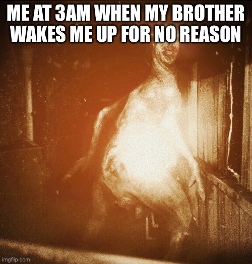 Idk | ME AT 3AM WHEN MY BROTHER WAKES ME UP FOR NO REASON | image tagged in scp | made w/ Imgflip meme maker