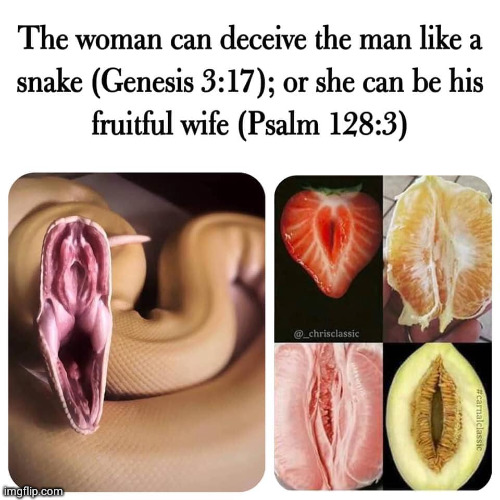 Genesis 3:17 | image tagged in genesis 3 17 | made w/ Imgflip meme maker