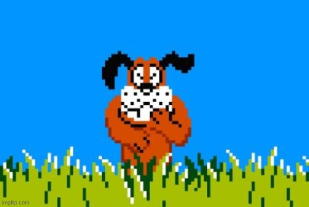 Duck Hunt Dog | image tagged in duck hunt dog | made w/ Imgflip meme maker