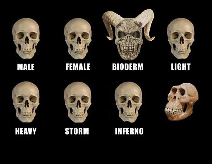 High Quality T2 Idiot Skull Blank Meme Template