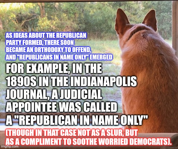 Squirrel | AS IDEAS ABOUT THE REPUBLICAN PARTY FORMED, THERE SOON BECAME AN ORTHODOXY TO OFFEND, AND "REPUBLICANS IN NAME ONLY" EMERGED FOR EXAMPLE, IN | image tagged in squirrel | made w/ Imgflip meme maker