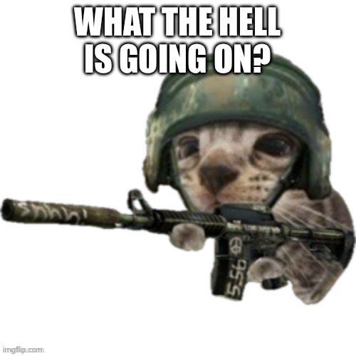 The hell happened? | WHAT THE HELL IS GOING ON? | made w/ Imgflip meme maker