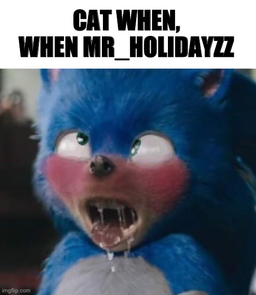 Cursed I say, cursed | CAT WHEN, WHEN MR_HOLIDAYZZ | image tagged in hentai face sonic | made w/ Imgflip meme maker