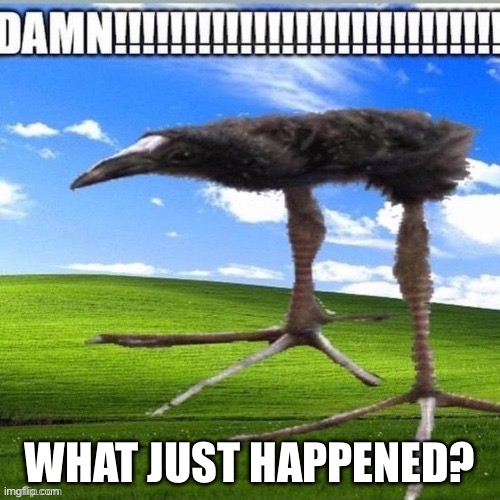 DAMN!!!!!!! | WHAT JUST HAPPENED? | image tagged in damn | made w/ Imgflip meme maker