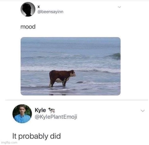 Mood | image tagged in mood,moo,cow | made w/ Imgflip meme maker