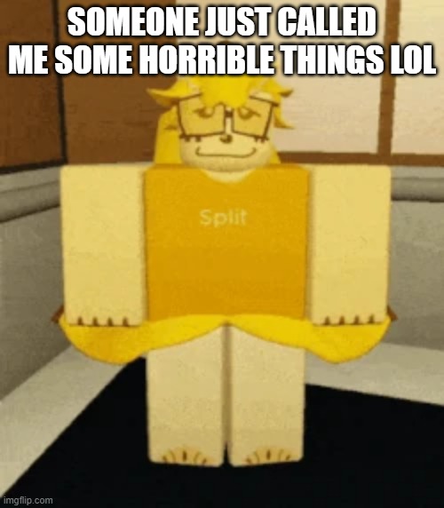 SOMEONE JUST CALLED ME SOME HORRIBLE THINGS LOL | made w/ Imgflip meme maker