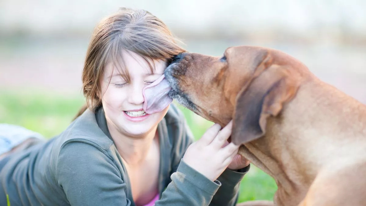 High Quality Dog licking Blank Meme Template