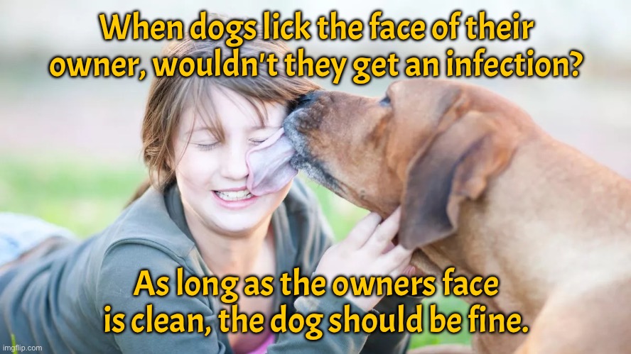 Dog licking owners face | When dogs lick the face of their owner, wouldn't they get an infection? As long as the owners face is clean, the dog should be fine. | image tagged in dog licking,owners face,get infection,face is clean,dog will be ok | made w/ Imgflip meme maker