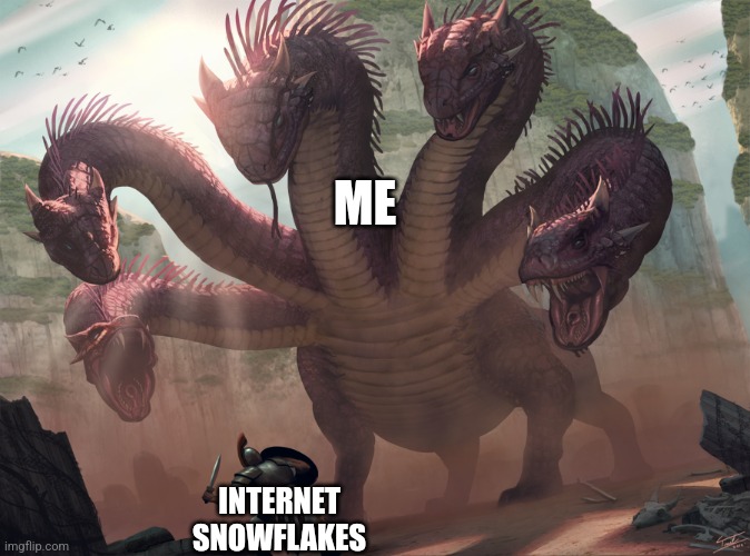 hydra | ME; INTERNET SNOWFLAKES | image tagged in hydra | made w/ Imgflip meme maker