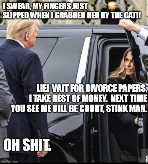 Trump Divorce Imminent | I SWEAR, MY FINGERS JUST SLIPPED WHEN I GRABBED HER BY THE CAT!! LIE!  VAIT FOR DIVORCE PAPERS, I TAKE REST OF MONEY.  NEXT TIME YOU SEE ME VILL BE COURT, STINK MAN. OH SHIT. | image tagged in angry melania,trump,maga,gop leader | made w/ Imgflip meme maker