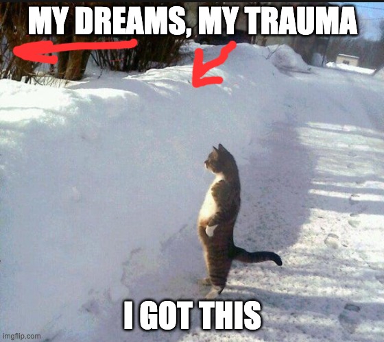 Cat looking at snow wall | MY DREAMS, MY TRAUMA; I GOT THIS | image tagged in cat,snow,motivation,healing,trauma | made w/ Imgflip meme maker