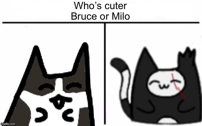 My opinion is on Bruce (come on, he was my cat) | made w/ Imgflip meme maker