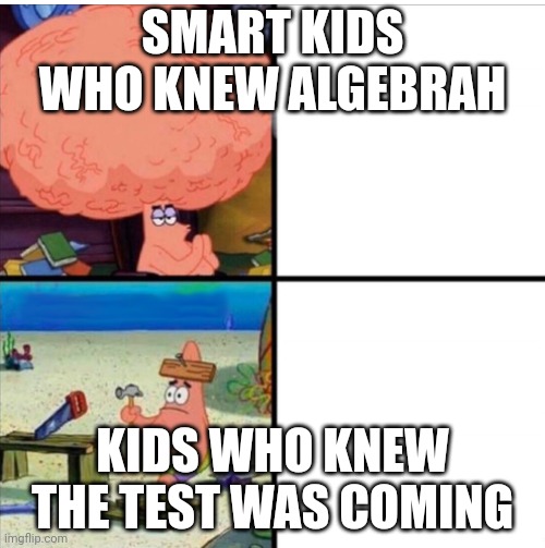 This is me all the time | SMART KIDS WHO KNEW ALGEBRAH; KIDS WHO KNEW THE TEST WAS COMING | image tagged in smart and dumb patrick | made w/ Imgflip meme maker