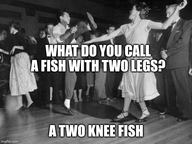 Daddy rabbit memes | WHAT DO YOU CALL A FISH WITH TWO LEGS? A TWO KNEE FISH | image tagged in daddy rabbit memes,funny,fish,rock and roll | made w/ Imgflip meme maker