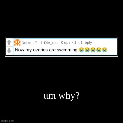 um why? | | image tagged in funny,demotivationals | made w/ Imgflip demotivational maker