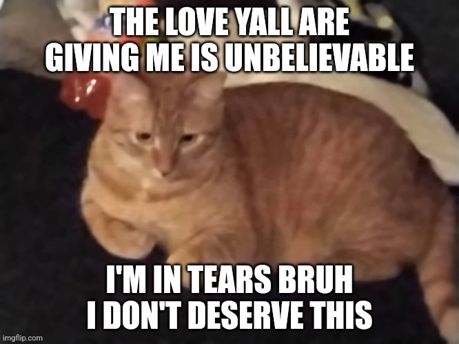 Goose | THE LOVE YALL ARE GIVING ME IS UNBELIEVABLE; I'M IN TEARS BRUH I DON'T DESERVE THIS | image tagged in goose | made w/ Imgflip meme maker