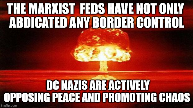 Peace vs Chaos | THE MARXIST  FEDS HAVE NOT ONLY 
ABDICATED ANY BORDER CONTROL; DC NAZIS ARE ACTIVELY OPPOSING PEACE AND PROMOTING CHAOS | image tagged in atomic bomb,chaos,illegal immigration | made w/ Imgflip meme maker