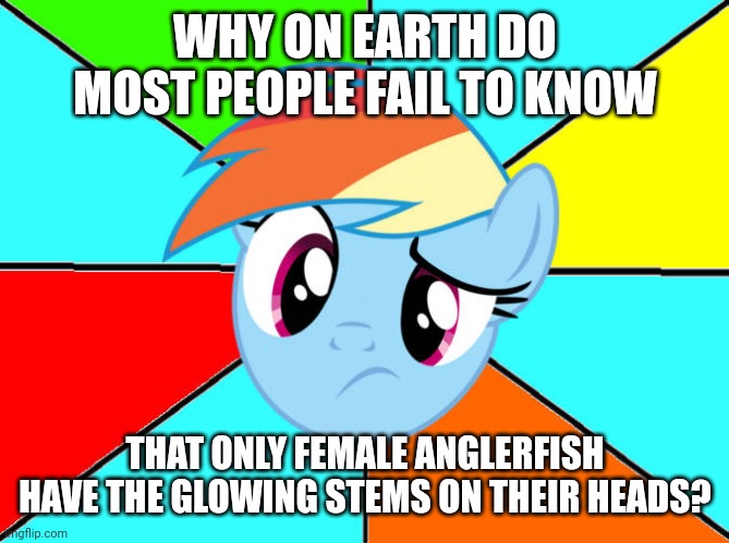 Fact About Female Anglerfish | WHY ON EARTH DO MOST PEOPLE FAIL TO KNOW; THAT ONLY FEMALE ANGLERFISH HAVE THE GLOWING STEMS ON THEIR HEADS? | image tagged in rainbow dash confused,rainbow dash,mlp fim,my little pony friendship is magic,angler fish | made w/ Imgflip meme maker