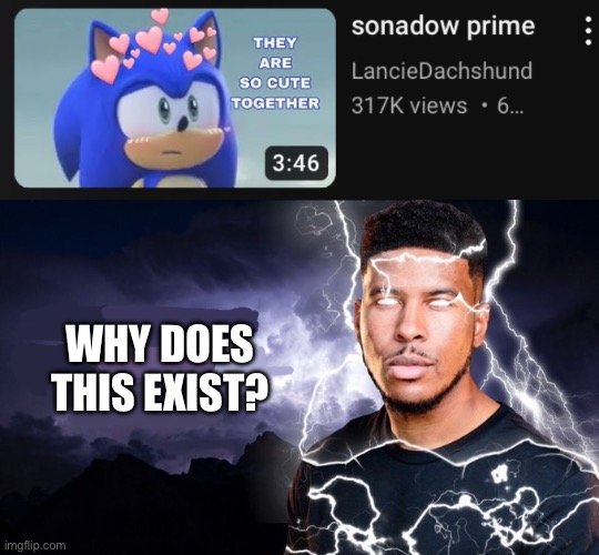 What is this. | WHY DOES THIS EXIST? | image tagged in you should kill yourself now,sonic the hedgehog,sonic,shadow the hedgehog | made w/ Imgflip meme maker