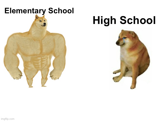 Buff Doge vs. Cheems | Elementary School; High School | image tagged in memes,buff doge vs cheems | made w/ Imgflip meme maker