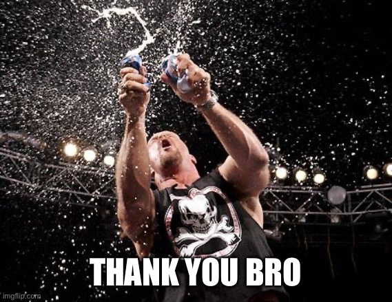 stone cold beers | THANK YOU BRO | image tagged in stone cold beers | made w/ Imgflip meme maker