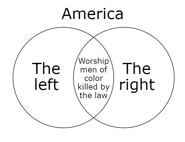 Same energy | America; The right; The left; Worship men of color killed by
the law | image tagged in venn diagram | made w/ Imgflip meme maker