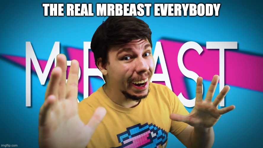 Fake MrBeast | THE REAL MRBEAST EVERYBODY | image tagged in fake mrbeast | made w/ Imgflip meme maker