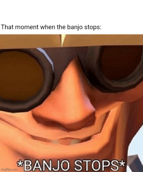 Banjo Stops | That moment when the banjo stops: | image tagged in banjo stops | made w/ Imgflip meme maker