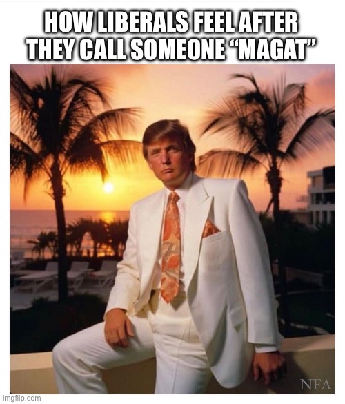 MAGAt | HOW LIBERALS FEEL AFTER THEY CALL SOMEONE “MAGAT” | image tagged in your free trial of living has ended | made w/ Imgflip meme maker