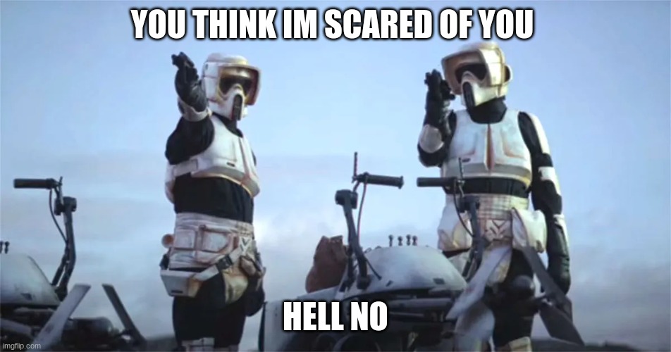 scout troopers | YOU THINK IM SCARED OF YOU HELL NO | image tagged in scout troopers | made w/ Imgflip meme maker