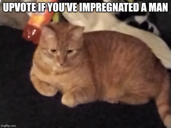 Goose | UPVOTE IF YOU'VE IMPREGNATED A MAN | image tagged in goose | made w/ Imgflip meme maker