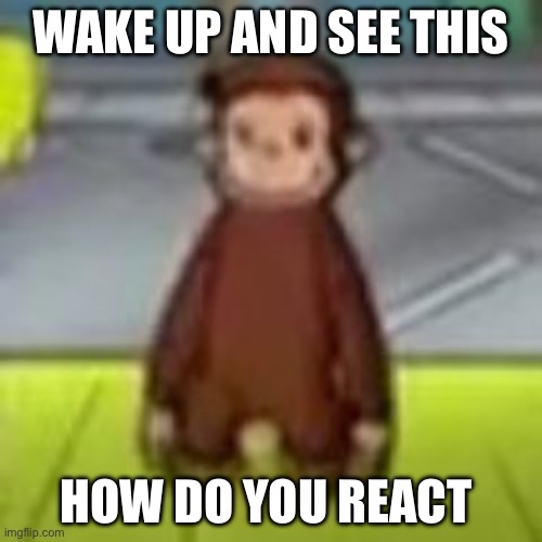 i would shit myself | WAKE UP AND SEE THIS; HOW DO YOU REACT | image tagged in low quality curious george | made w/ Imgflip meme maker