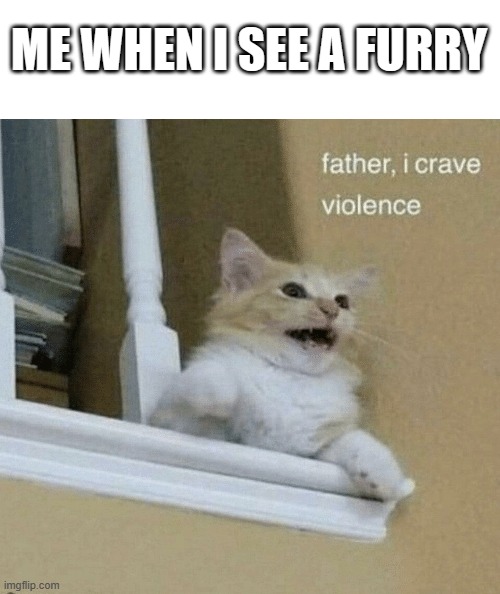 crave | ME WHEN I SEE A FURRY | image tagged in father i crave violence cat | made w/ Imgflip meme maker